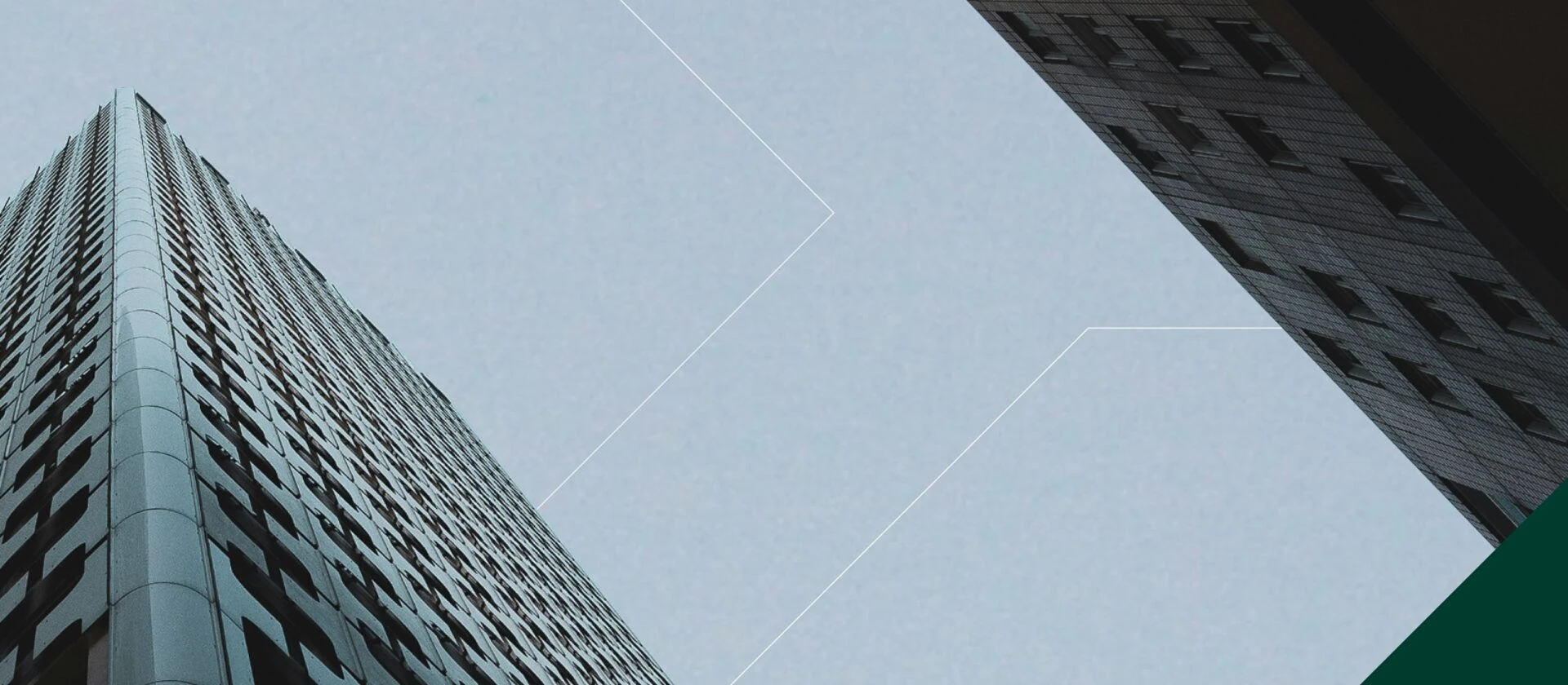 Commitment to Innovation