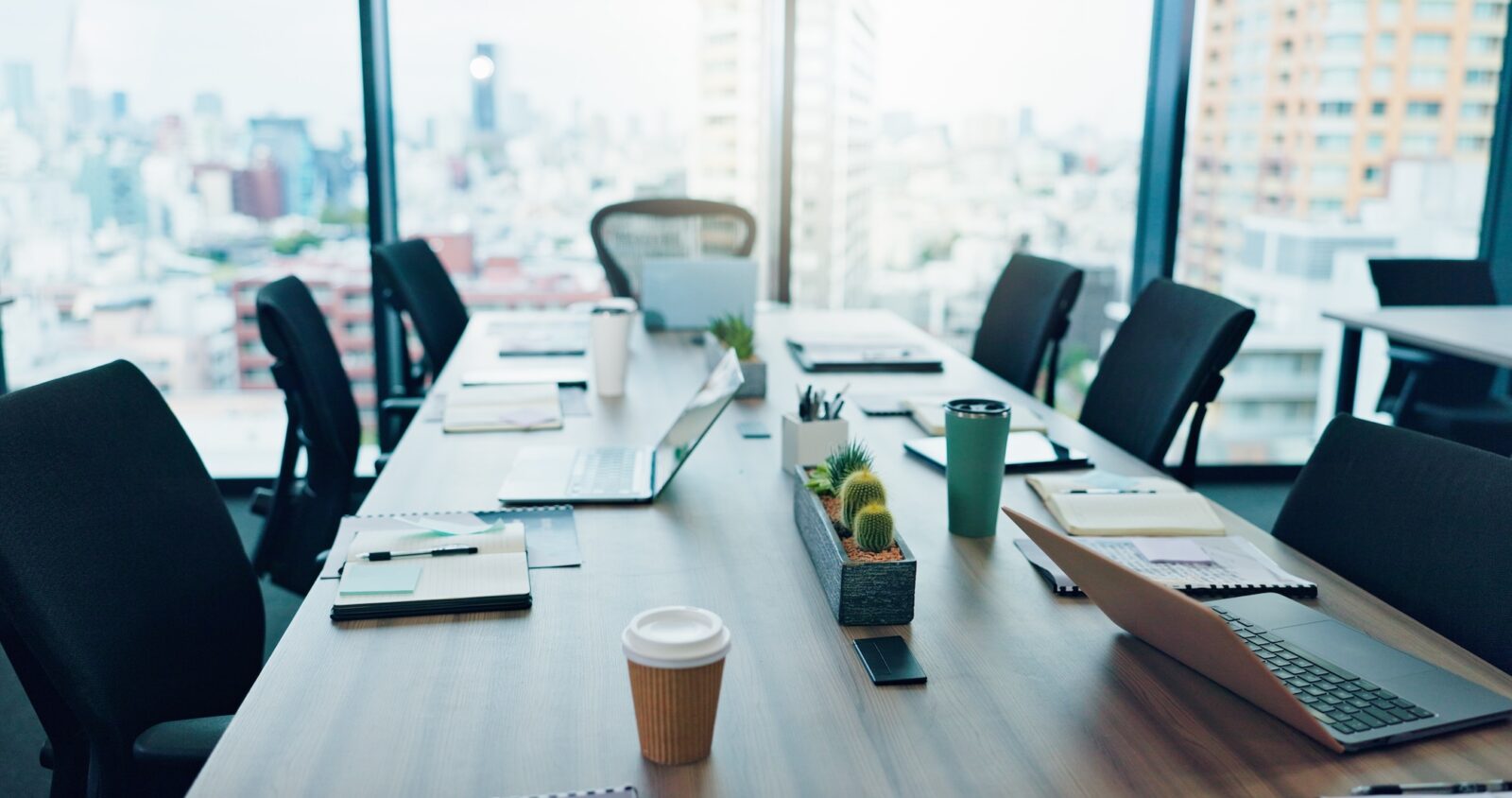 The Future: Issues After the Publication of the CEO Pay Ratio